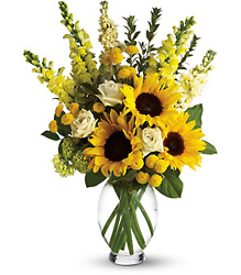 Here Comes The Sun - Yellow Vase w/ Sunflowers from Olney's Flowers of Rome in Rome, NY